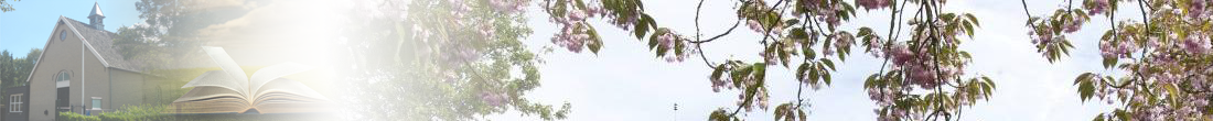 headerhhgkopie